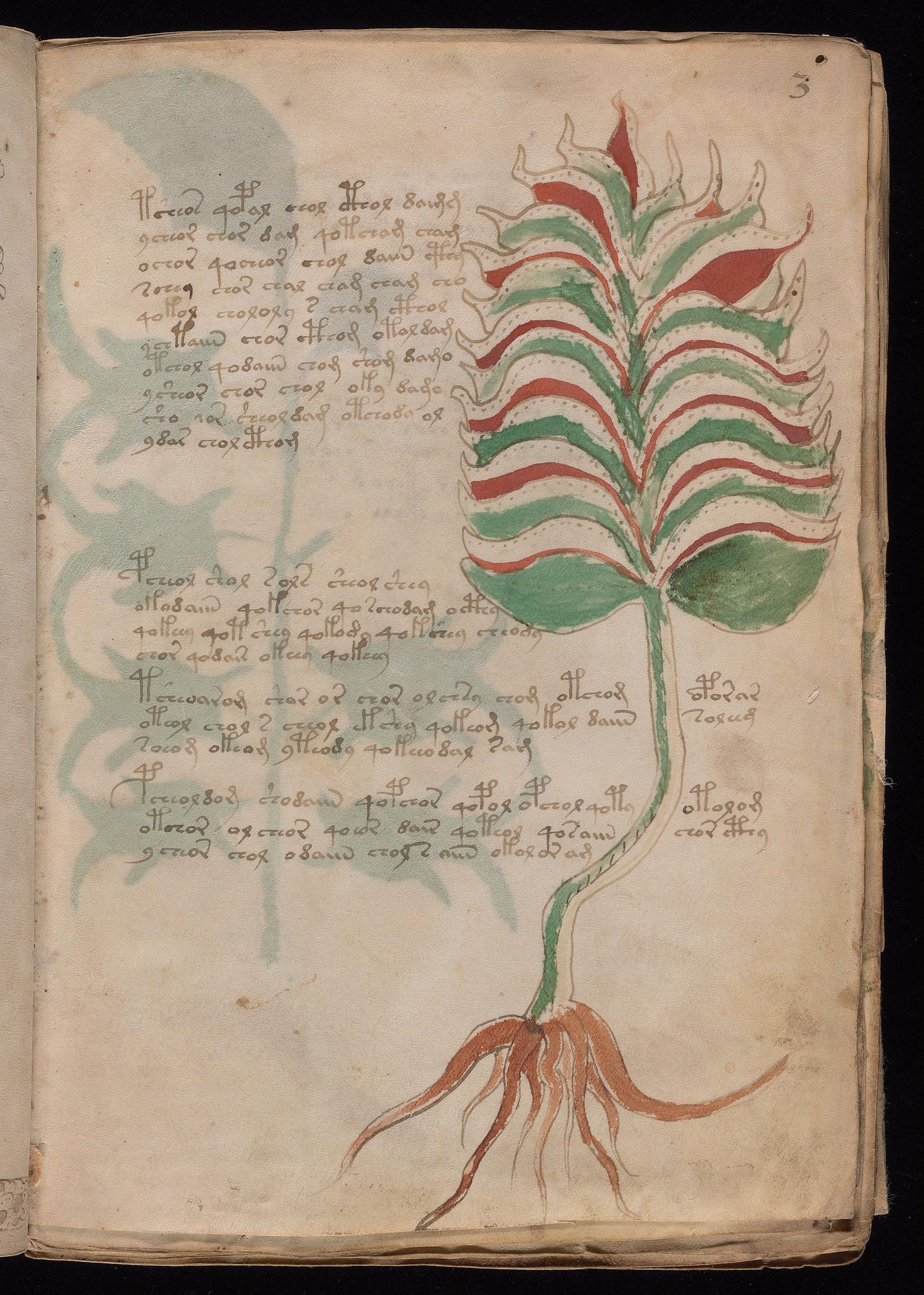 Herbal Page 5